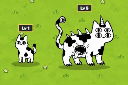 Gatos Bizarros