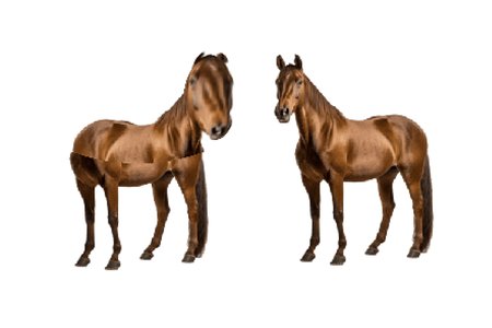 Horse Magnifier: Jam Edition