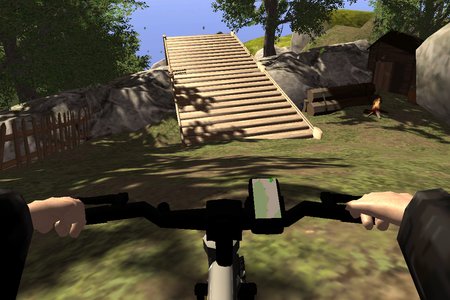 Real MTB Downwill 3D