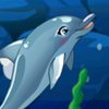 Jogo · My Dolphin Show 9